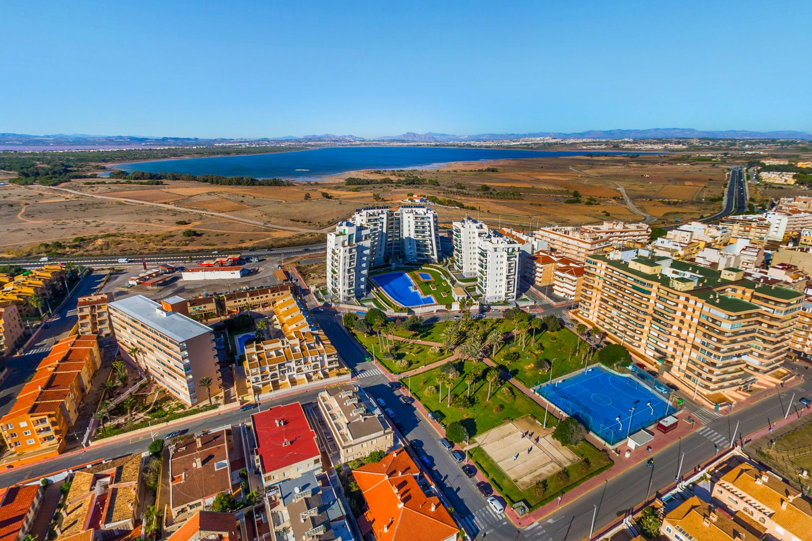 Laguna de La Mata natural salt lake pink flamingos